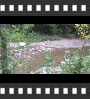 ../pictures/Everett Road Covered Bridge/DSCF9071_1_small_icon.jpg